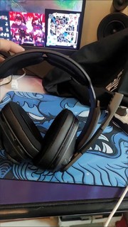 SENNHEISER/森海塞尔 GSP370 无线游戏耳机