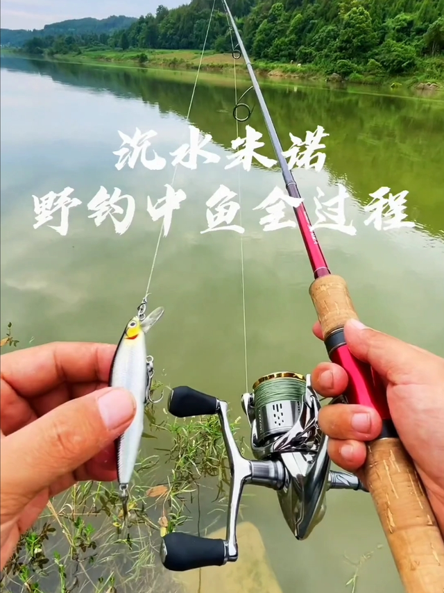 刚到手的鱼竿，试试调性