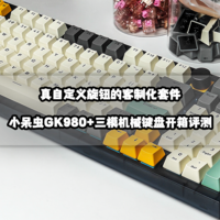 机械键盘入坑指南 篇十五：真自定义旋钮的客制化套件丨小呆虫GK980+三模机械键盘开箱评测