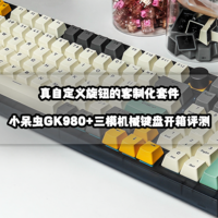 真自定义旋钮的客制化套件丨小呆虫GK980+三模机械键盘开箱评测