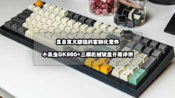 机械键盘入坑指南 篇十五：真自定义旋钮的客制化套件丨小呆虫GK980+三模机械键盘开箱评测
