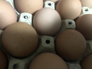 食品生鲜笔记-鲜鸡蛋