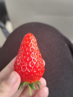 陕西草莓！也嘎嘎甜！！