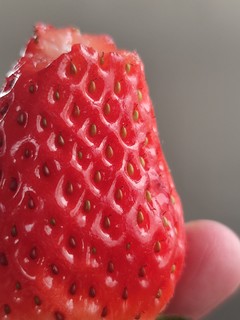 陕西草莓！也嘎嘎甜！！