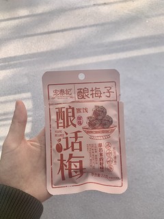 宏泰记酿梅子果干低脂小零食