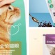 众测后让我不断回购用来救助流浪猫的粮食——网易严选旗下猫粮