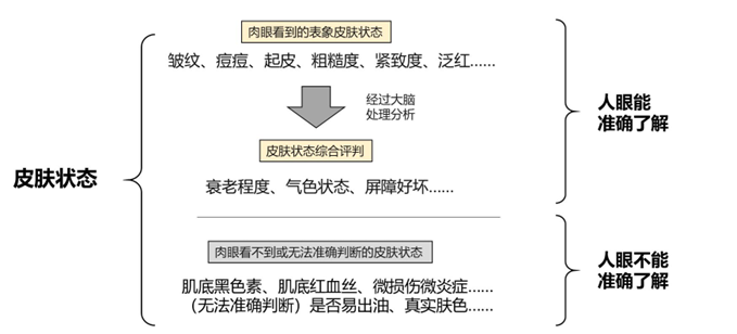 春季皮肤易敏感？脸上总长小疙瘩？别走弯路，这项检测很管用！