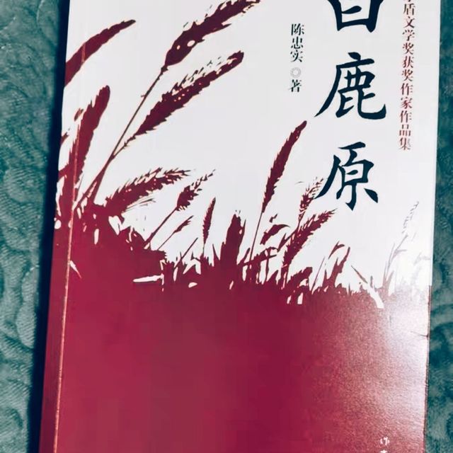 读书如抽丝：探寻“泡枣”来历之《白鹿原》