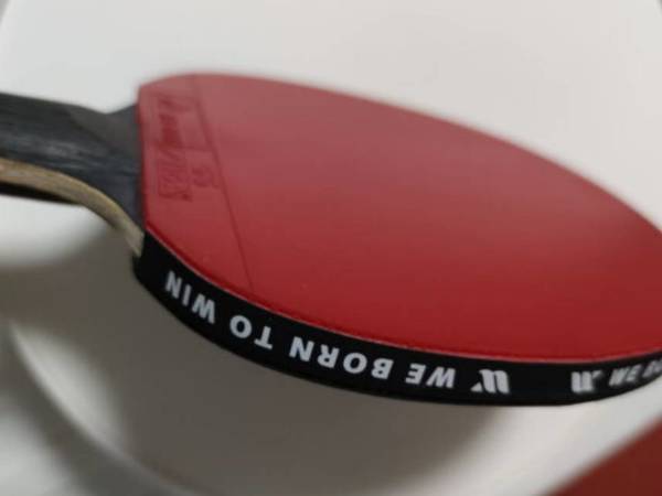 能提高能量代谢的运动