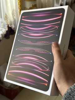 心心想念 iPad Pro 11 蜂窝版入手