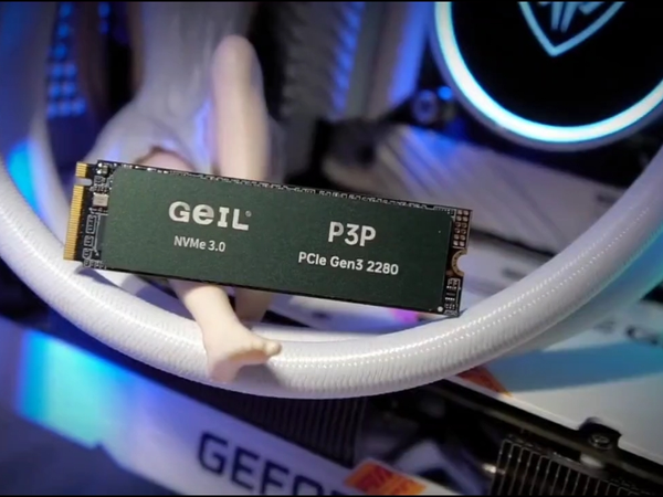 499拿下金邦P3P PCIe 3.0 2T SSD