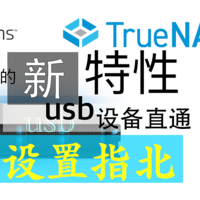TrueNAS 篇七：TrueNAS Scale 22.12.1 惊喜新特性——usb设备直通（我用绿联usb网卡来简单示例一下）