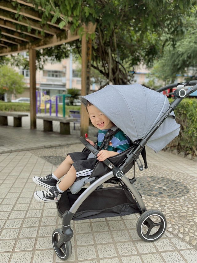 二胎孕期大件囤货！吞金兽的座驾篇〰