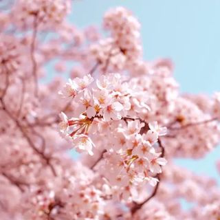 【合集】撒野的春天，是什么让你更美？