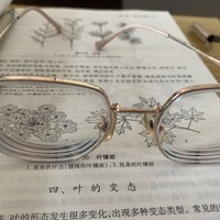 金丝高启兰同款眼镜