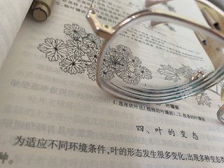 金丝高启兰同款眼镜