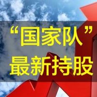 大赚11亿！“投资国家队”最新持仓曝光！