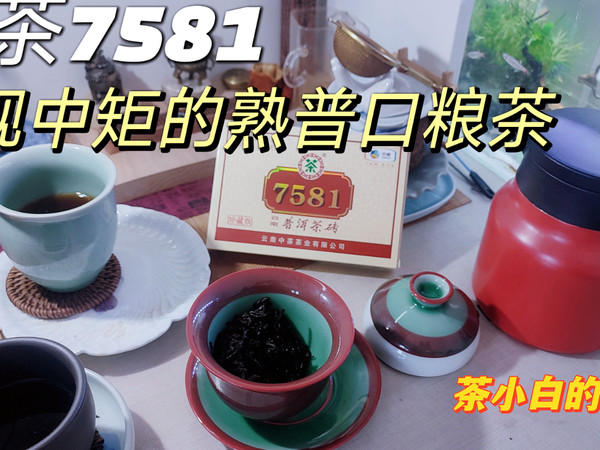 个人非专业品茶，中茶7581，熟普口粮茶