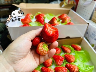 草莓🍓颜值挺高，口感也很绝🥳