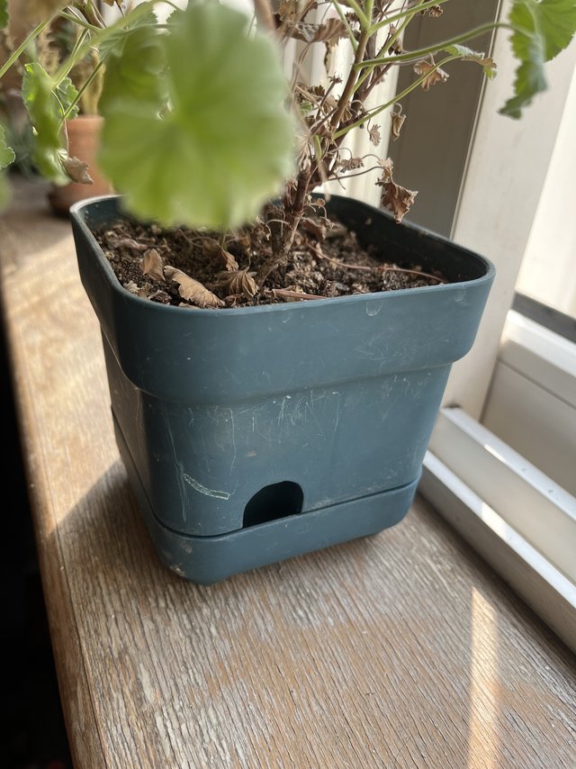 一个十分方便使用的花盆