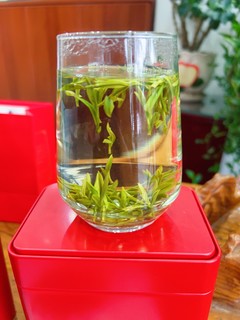 新茶上新｜黄山有佳茗，白毫披身，芽尖峰芒