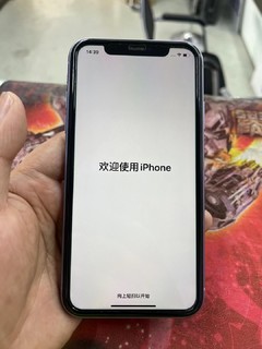 我的春日装备，iPhone11备用机