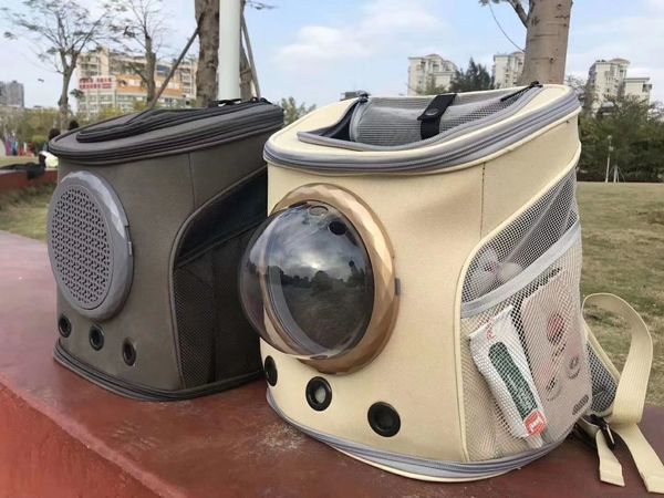 以自己怀疑的价格买到的猫包