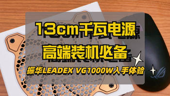 13cm超小巧1000W金牌ATX电源：振华LEADEX VG1000W白色版开箱晒单