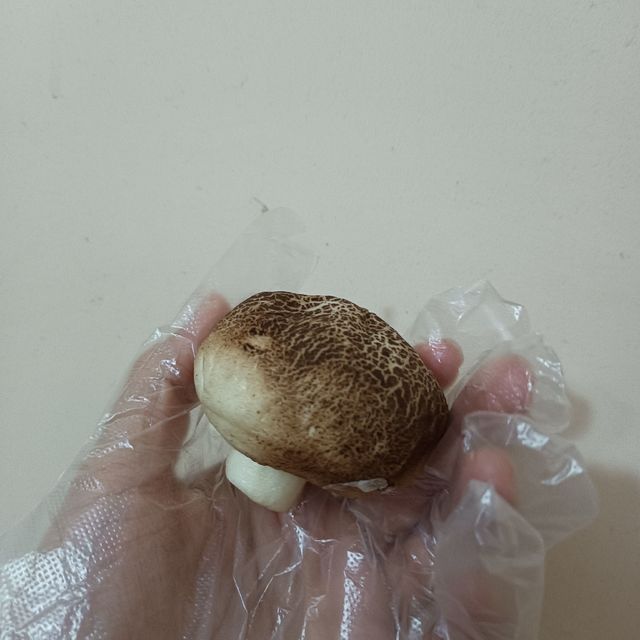 这就是传说中的分子料理吗？（不是香菇！）