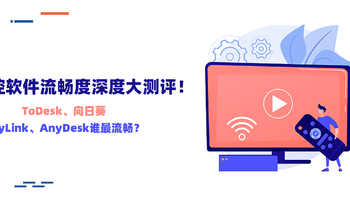 干货分享 篇三十三：远控软件流畅度深度大测评！ToDesk、向日葵、RayLink、AnyDesk谁最流畅？ 