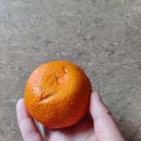 橘子减脂期间也可以吃