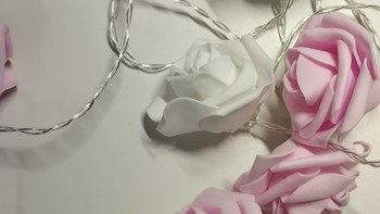 我的生活日记 篇十九：玫瑰花🌹灯串，粉白色的花花搭配在一起暖色调灯光也太有氛围感了吧。