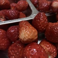 又到了吃草莓的季节了，减脂期补充营养全靠它！
