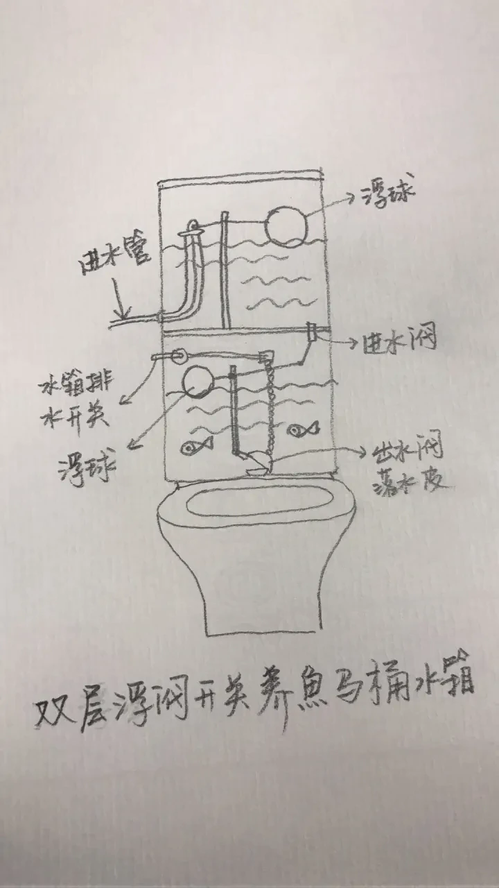 马桶盖后面的水池用来养鱼好吗？灵魂画手出来支招！网友：是个人才…