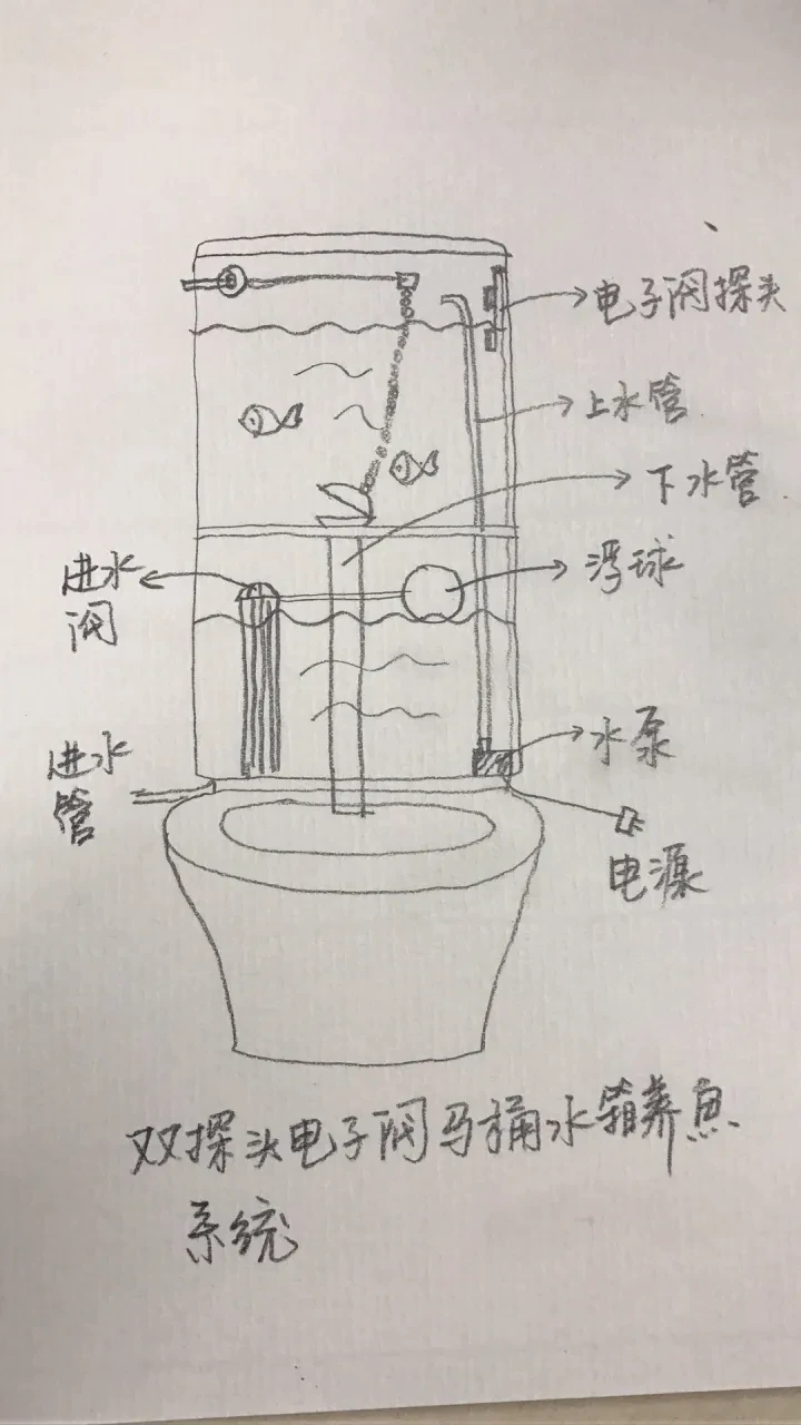 马桶盖后面的水池用来养鱼好吗？灵魂画手出来支招！网友：是个人才…