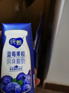 味道不错的蓝莓酸奶
