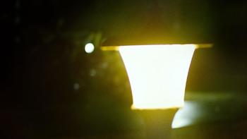 摄影之路 篇五：奥林巴斯相机记录下的影像：夜灯下的猫