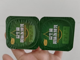 益生菌发酵乳滋润你肠道的每一天