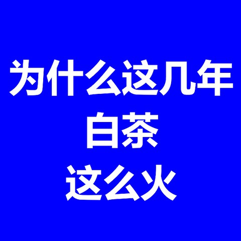 为什么这几年白茶会这么火？看完你就懂了