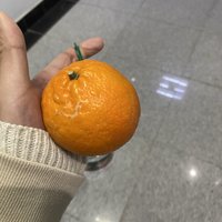 最开心的事情莫过于上课来口橘子🍊