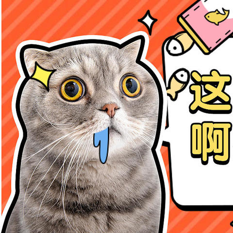 学会这招，流浪猫也能化身猫生赢家！