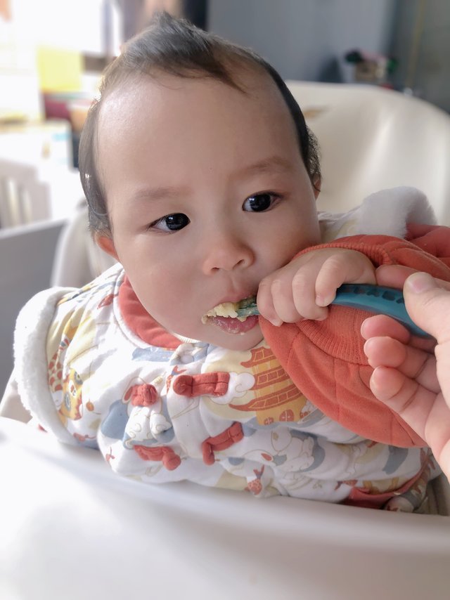 10M｜宝宝辅食｜瘦肉胡萝卜粥