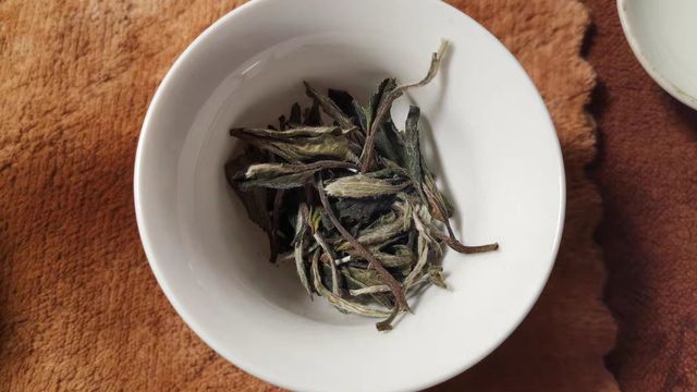 福鼎白茶白牡丹的口粮茶，品品香不能错过