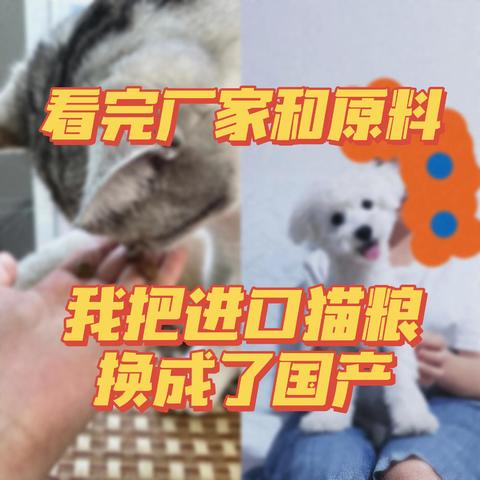 ​看完猫粮内幕，我把进口猫粮换成了国产