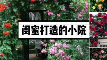 49㎡院子被闺蜜打造成花海，设计太美了，网友：满眼花墙好治愈