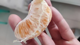 这个到底是丑橘还是耙耙柑啊？