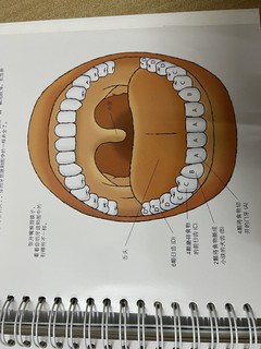 儿童立体科普书，了解我们的身体