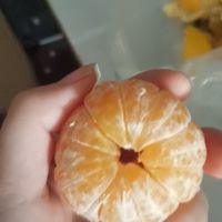 超甜水果沙糖橘篇