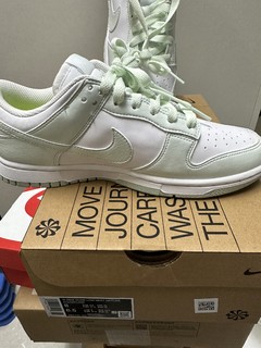 NIKE官网Dunk Low Next Nature 女子运动鞋