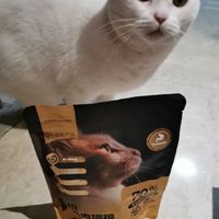 百家试吃装长大的猫咪